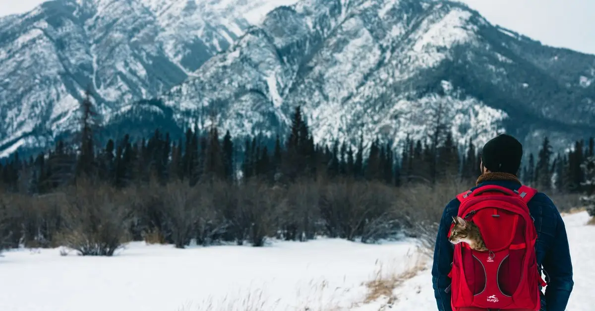 A Comprehensive Guide to Choosing the Right Sports Backpack