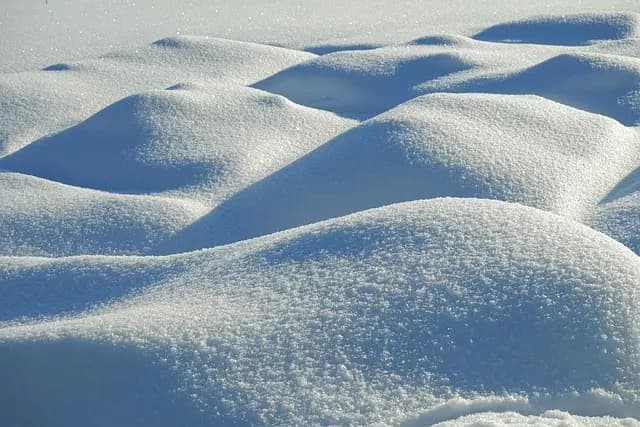 Essential Tips for Choosing Winter Sports Gear