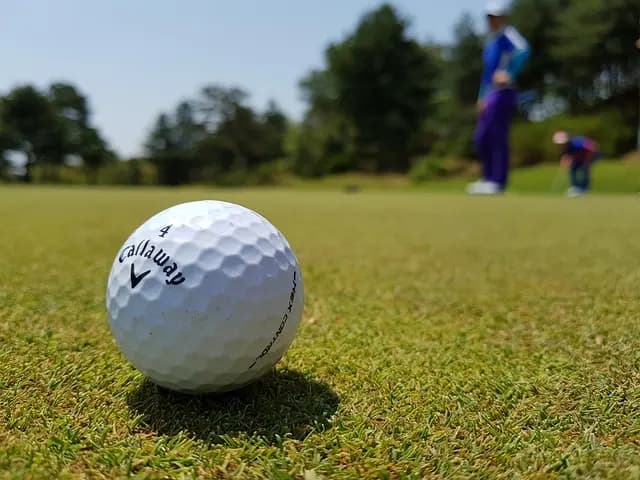 How to Choose the Right Golf Shoes