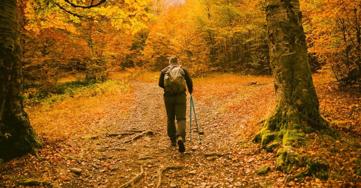 The Best Hiking Backpacks for Long Treks