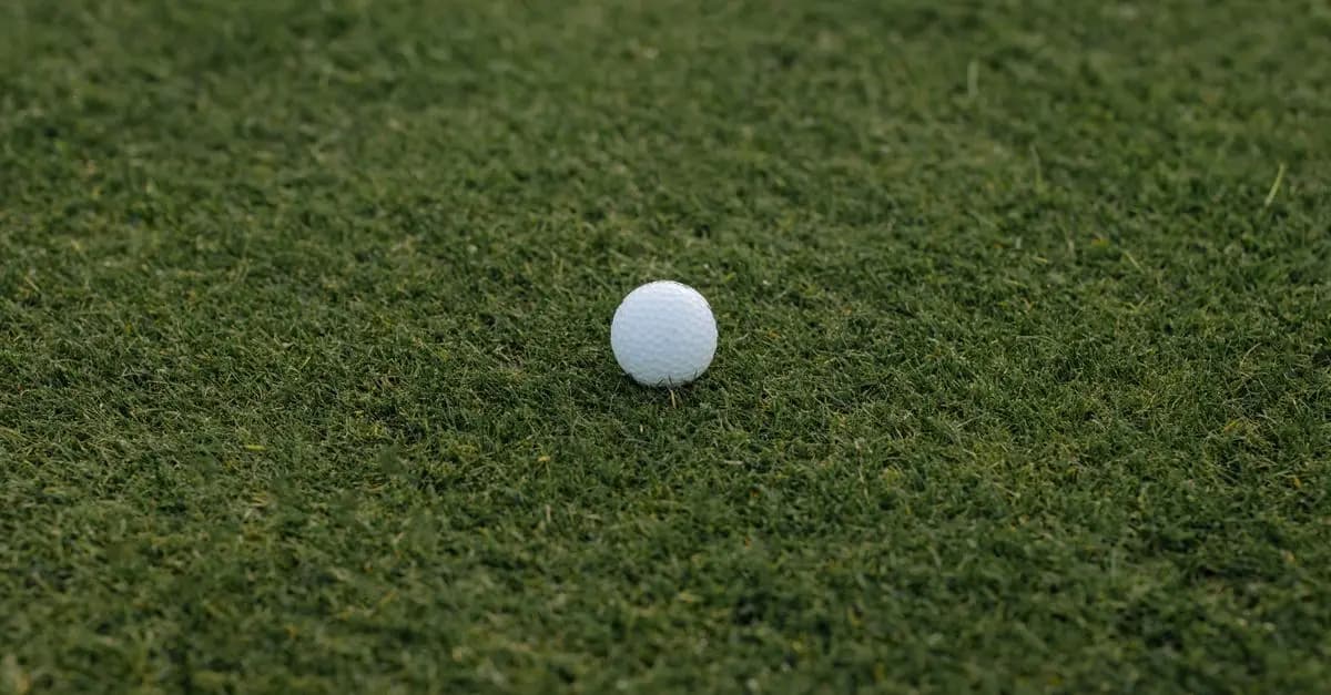 The Best Golf Balls for Distance and Control