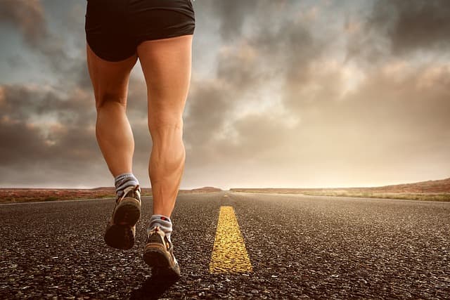 Top 10 Must-Have Sports Gear for Every Athlete