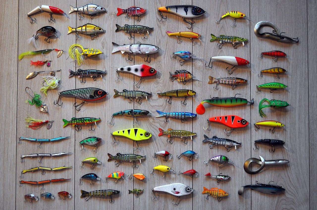 The Essential Guide to Choosing Sports Gear for Any Activity